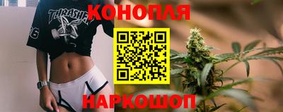 гашик Бузулук