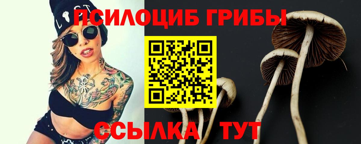 Чебоксары  Псилоцибиновые грибы Psilocybe  Галлюциногенные грибы Magic Shrooms  Вход с VPN 